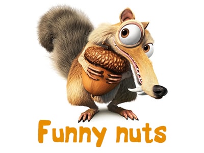 /uploads/"Funny nuts"